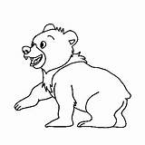 Coloring Koda Bear sketch template