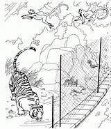 Free Printable Zoo Coloring Pages For Kids sketch template