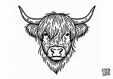 Highland cow face coloring page  Color This Life sketch template