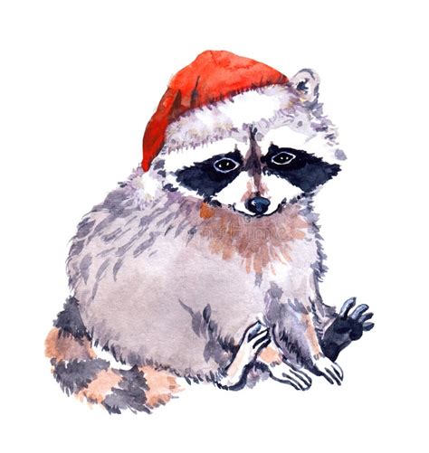 Cute Raccoon Animal in Red Santa`s Hat. Christmas Watercolor Stock Illustration - Illustration ...