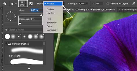 How to Use the Blur Tool in Photoshop