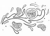 Grapefruit For Kids Coloring Page  Free Printable Pages sketch template
