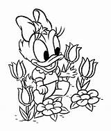 Daisy Coloring Page Pages 15 Customiza  Vrogueco sketch template