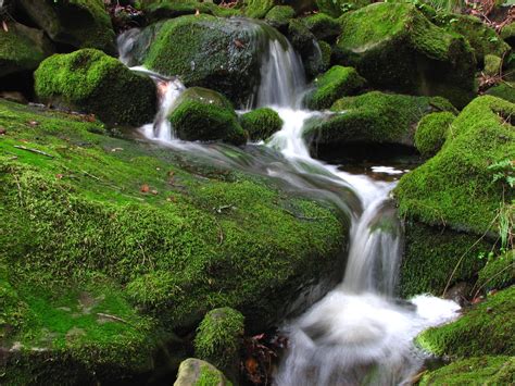 File:Las Trampas Waterfall.jpg - Wikipedia
