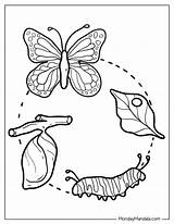 20 Caterpillar Coloring Pages Free PDF Printables sketch template