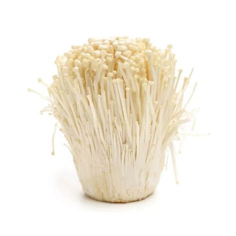 Enokitake mushrooms (200g) - Asiamartjp