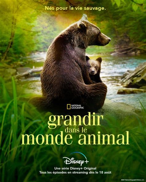 Grandir dans le monde animal - Série TV 2021 - AlloCiné