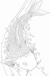 Koi Fish Coloring Page sketch template