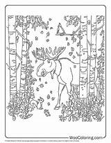 100  Moose coloring pages Free PDF To Print Woo Coloring sketch template