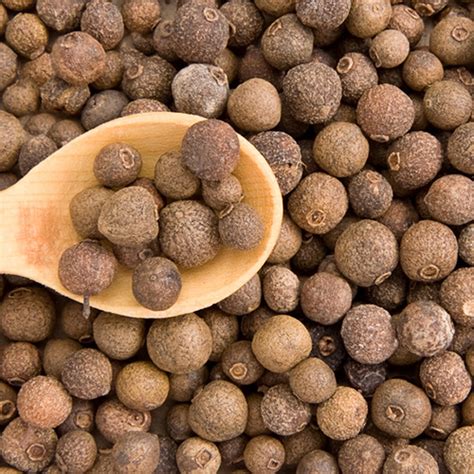 Where did the name Allspice come from? | MySpicer