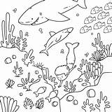 Free Vector  Coloring Book Illustration sketch template