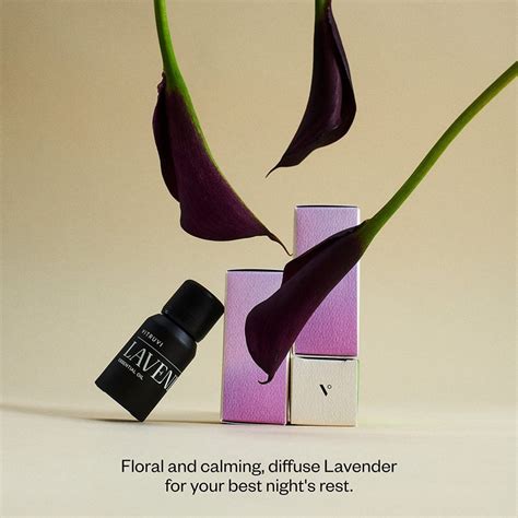 Lavender for Anxiety, Social Anxiety and Depression - A World of Scents and Blends