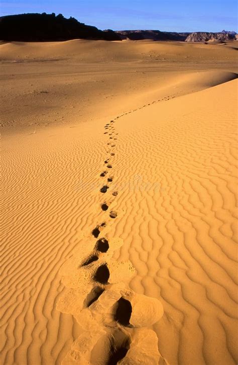 Libya desert stock image. Image of libya, wilderness - 15291045