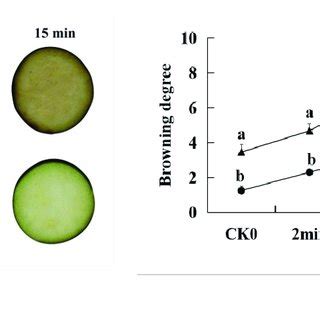 Browning phenotype of slices (a) and browning degree (b) of ...