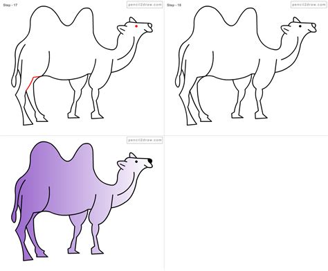 How To Draw A Camel Step By Step Easy Drawing Guides Drawing Howtos ...