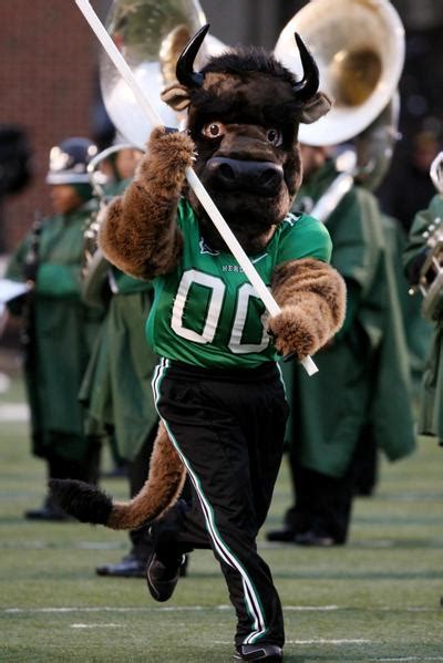 Mascot Monday: Marco the Buffalo | KC College Gameday