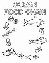 Free Printable Food Chain Coloring Pages sketch template