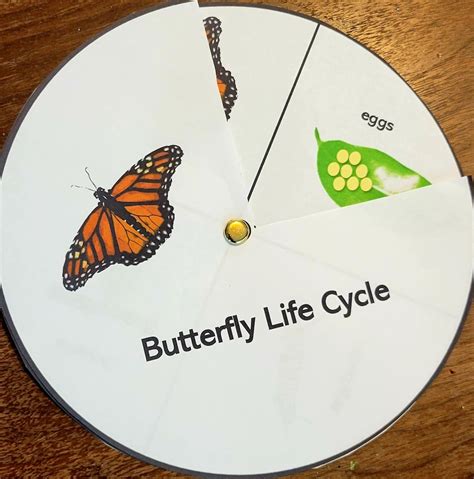 Butterfly Life Cycle Wheel, Printable Kids Activity, Early Education ...