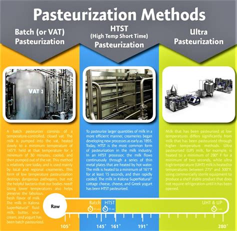 Milk Pasteurization- Methods, Steps, Significance - Medical Yukti