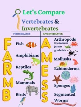 Vertebrates & Invertebrates Anchor Chart (FARMB and AMESS) | TPT