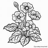 Buttercup Coloring Pages  Free & Printable sketch template