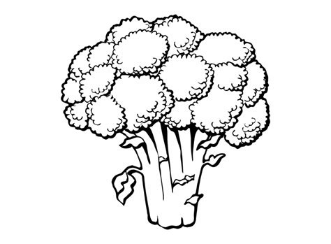 Download High Quality broccoli clipart drawing Transparent PNG Images - Art Prim clip arts 2019