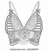 Collection Lingerie Body Set Vector Illustrations Stock Royalty  sketch template