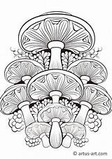 Mushroom Mandala Coloring Page » Free Download Artus Art sketch template