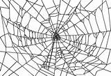 Free Printable Spider Coloring Pages For Kids  Cool2bKids sketch template