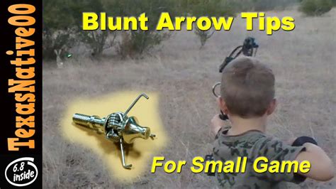 Rabbit Hunting with Blunt Arrow Tips - YouTube