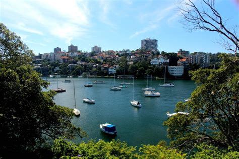 Is this Sydney's Most Beautiful Harbour Walk | Sydney travel, Australian travel, Australia travel