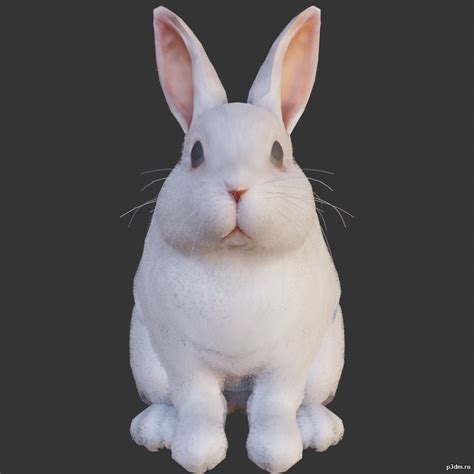 Rabbit 3D Model_634fc6f17d0e6.jpeg - 3DHunt.co