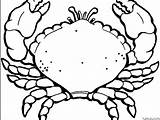 Crab Coloring Page » Turkau sketch template