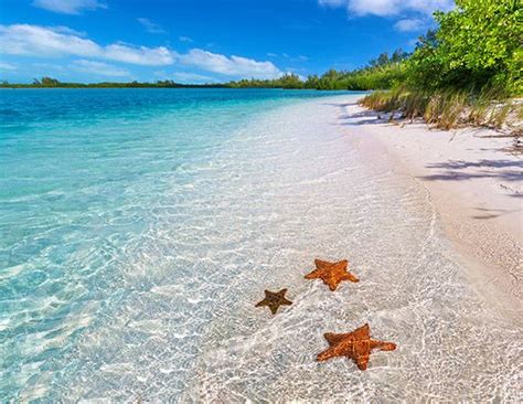 La plage Starfish Beach Panama. Une des plus belles plage au monde. | Dix des plus belles plages ...