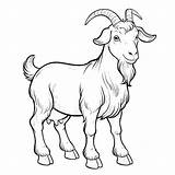 Goat Coloring Pages 6  Coloring Gem sketch template
