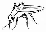 30  Mosquito Coloring Pages Free Printable PDF & Online sketch template