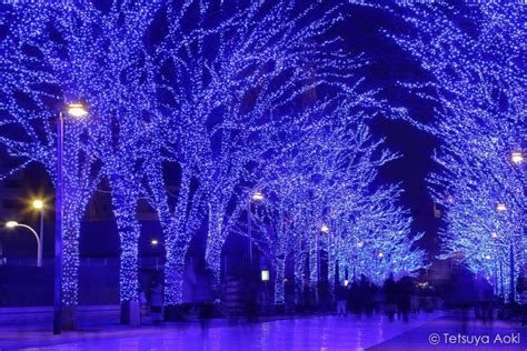 Shibuya, Tokyo | Christmas lights, Led tree, Landscape