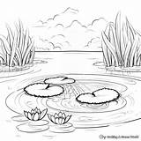 Pond Animals Coloring Pages  Free & Printable sketch template