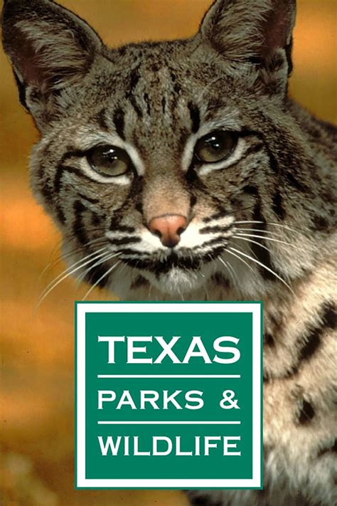 Watch Texas Parks and Wildlife Online | Season 29 (2020) | TV Guide