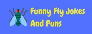 21 Fantastic Fly Jokes And Puns That Will Create A Buzz!