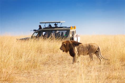 Top 10 Safari Destinations in Africa - Road Affair