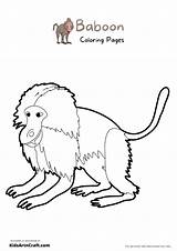 Baboon Coloring Pages For Kids – Free Printables  Art & Craft sketch template