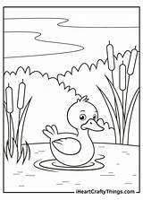 Duck Coloring Pages Updated 2021 sketch template