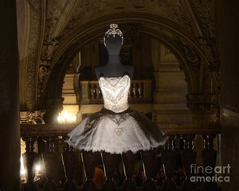 Paris Opera House Ballet - Opera Garnier Ballet Costume - Paris Ballet Tutu - Paris Ballerina ...