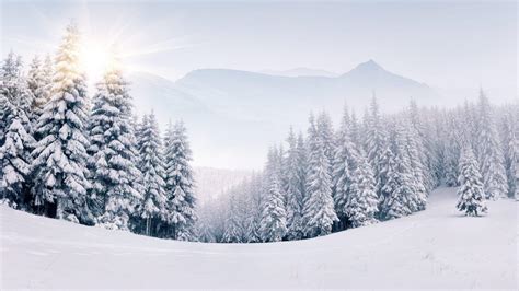 1080P Snow Wallpapers - Top Free 1080P Snow Backgrounds - WallpaperAccess