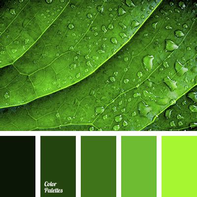 color of asparagus | Color Palette Ideas