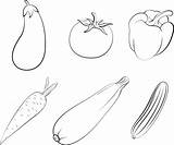 Vegetables eggplant tomato Pepper carrot Squash Cucumber coloring  sketch template