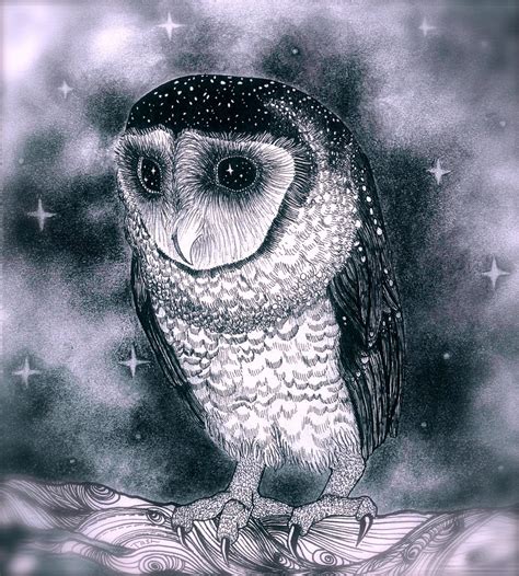 Owl Pen and Ink and Charcoal Drawing - Etsy