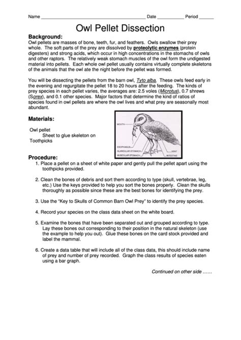 Owl Pellet Dissection - Triton Science printable pdf download