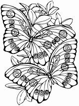 Kids n funcom  Coloring Page Butterflies sketch template